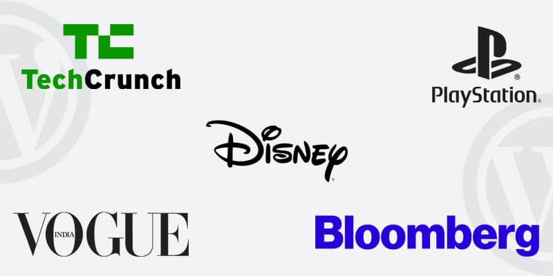 top wordpress website