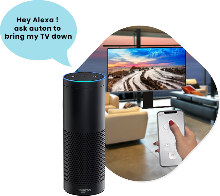Consumer Electronic Control App