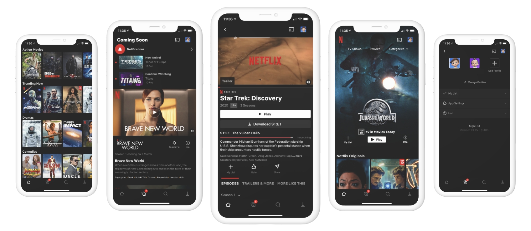 Screenshots of the Netflix App