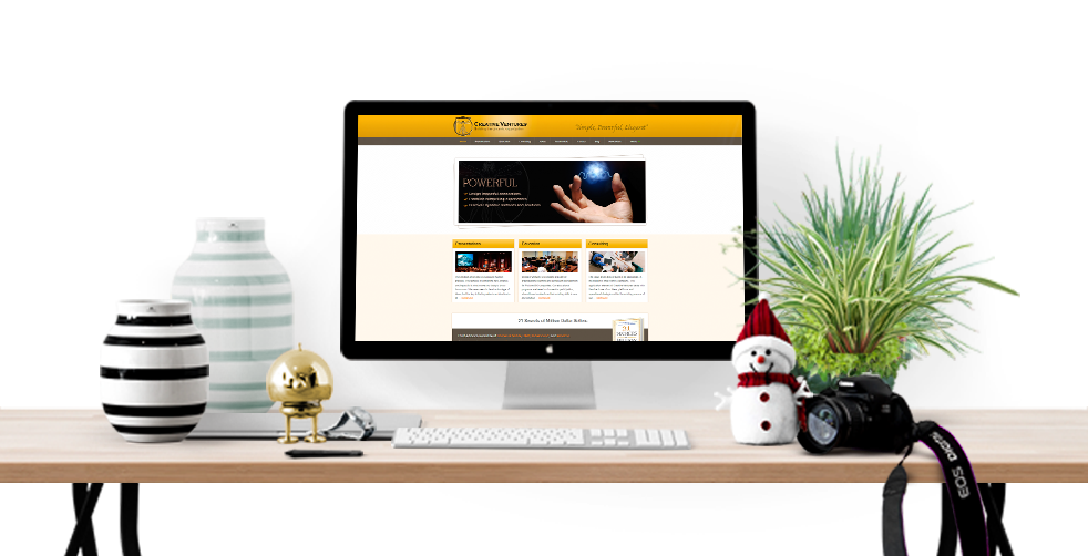 consulting business website development