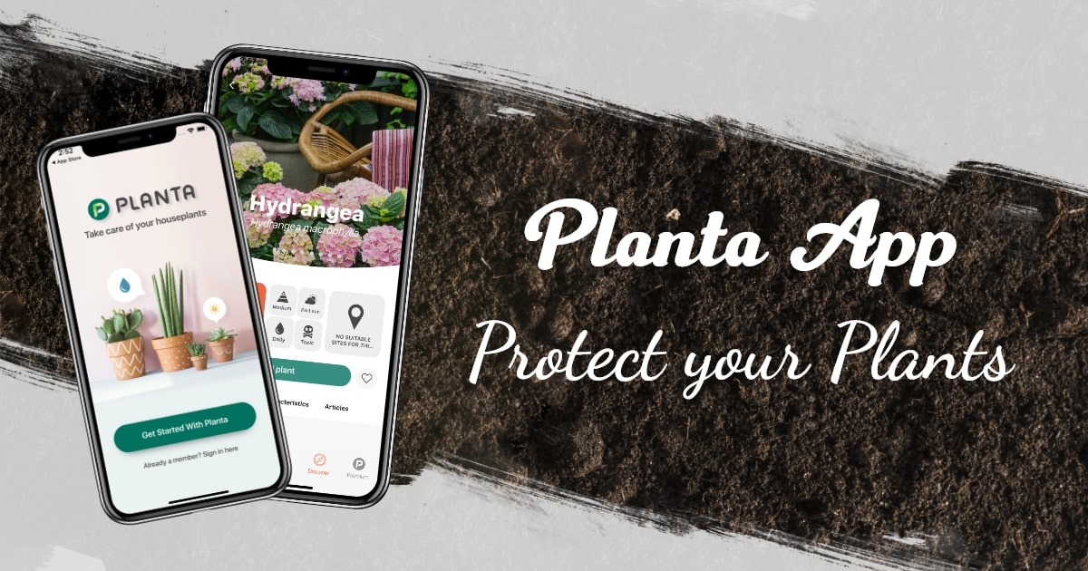 app for planta