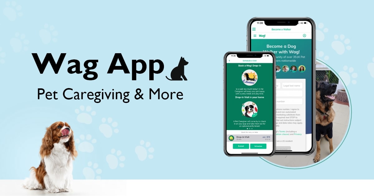 Best Web Application