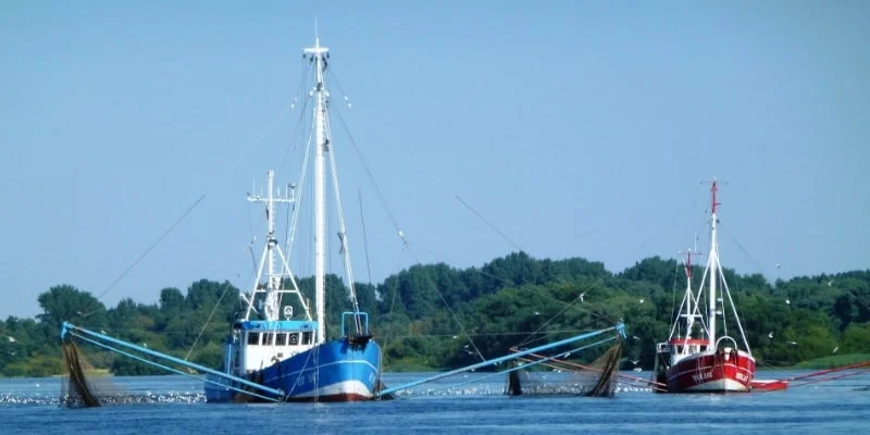 Fishing Industry Business