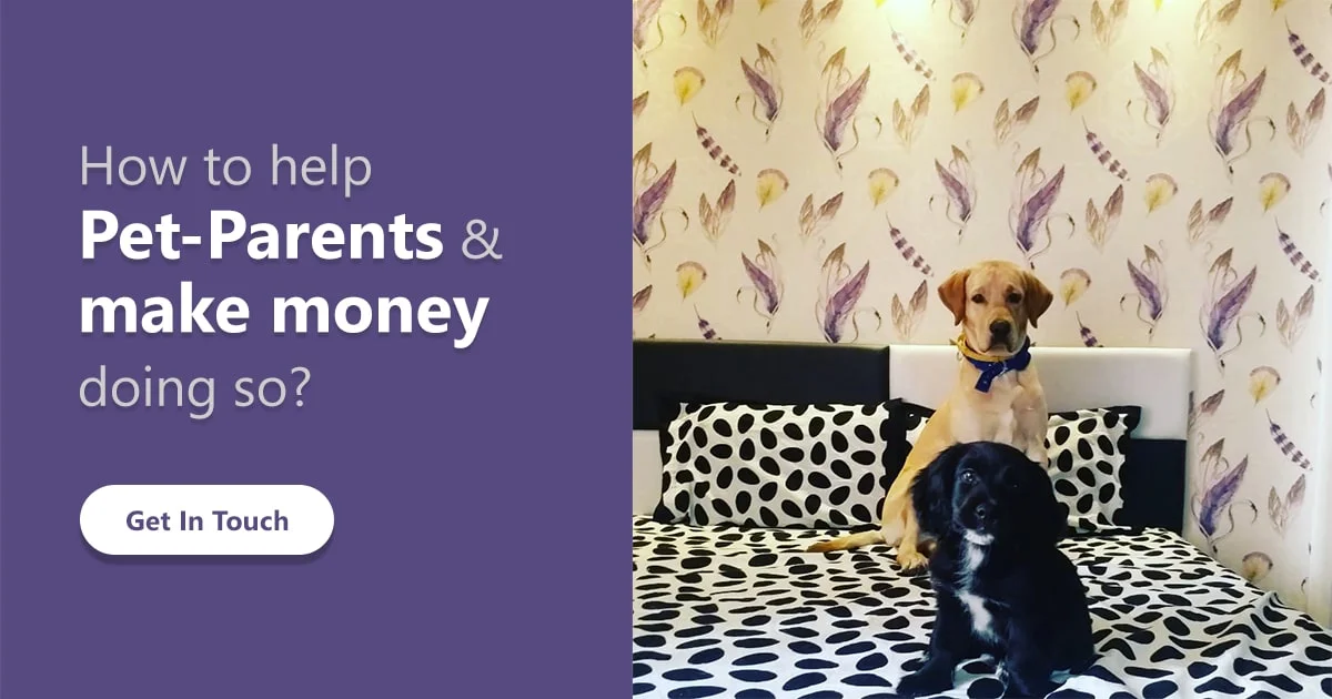 How To Start An Online Pet Store Guide