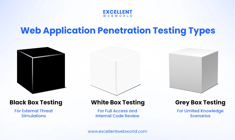 web app penetration testing types
