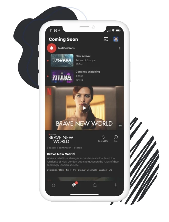 Appealing Features of The Netflix like App