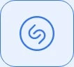 Auto Icon