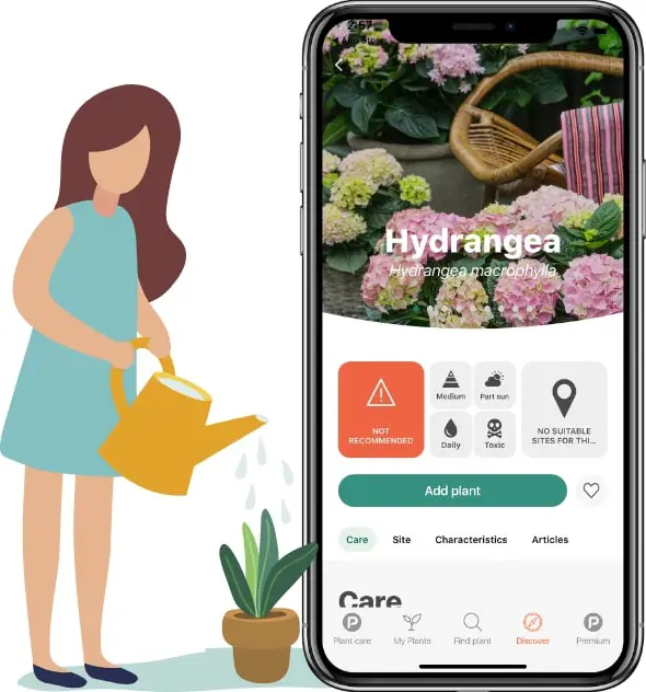 top planta app