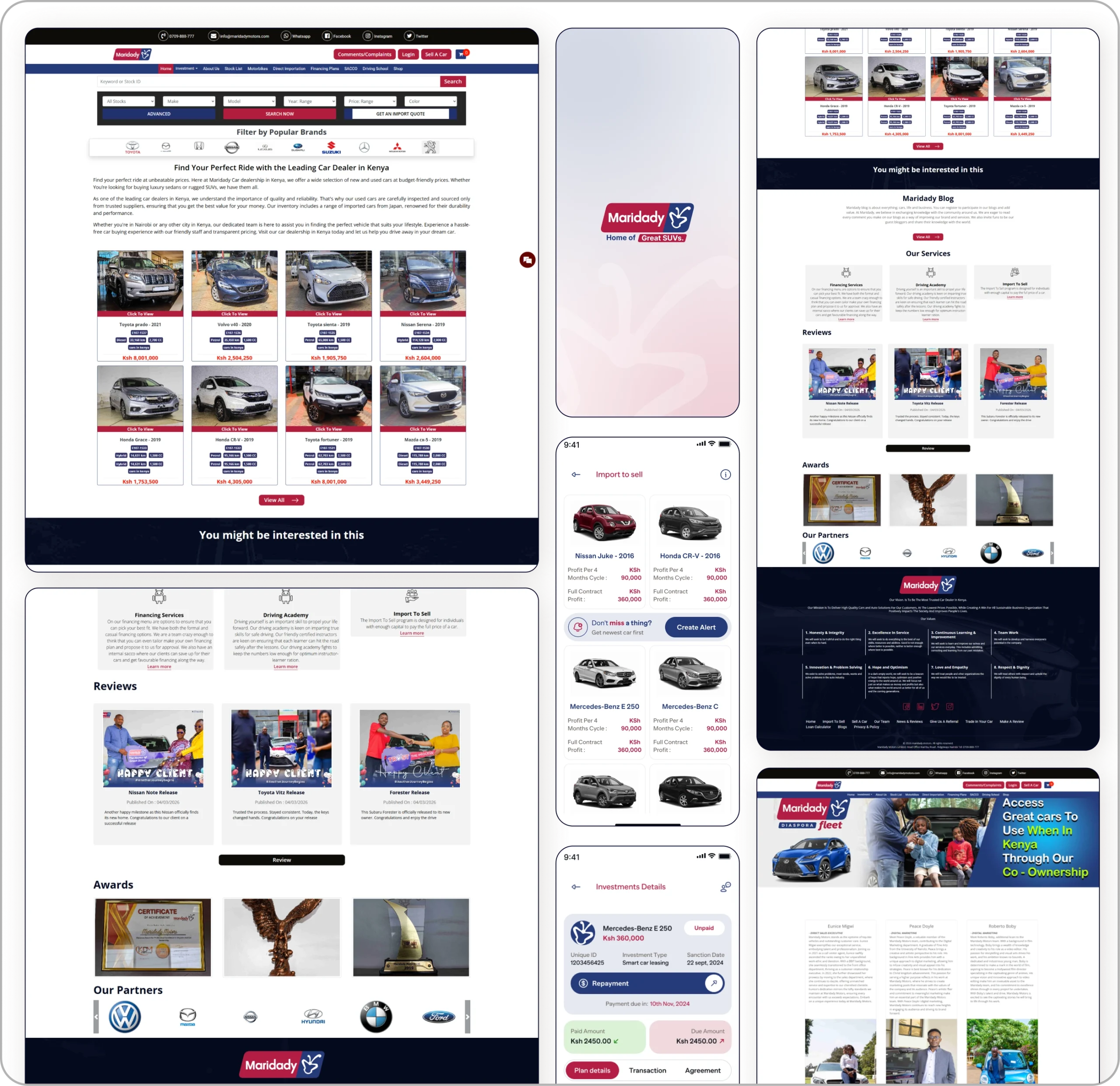 About Braive Project and Business Goal
