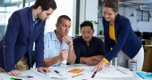 python development team
