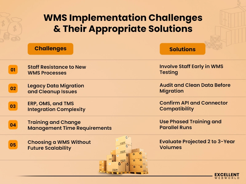 WMS Implementation Challenges Solution