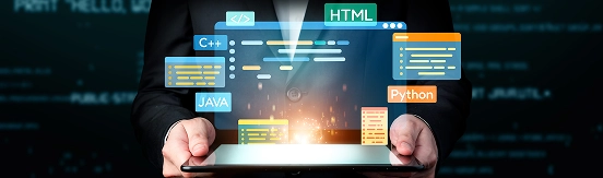 Build Web Portal with us
